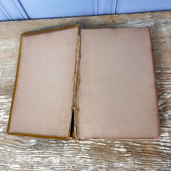 Antique Sir Walter Scott Poetical Works Illustrated Poetry Book Late 1800s HB - Picture 11 of 16